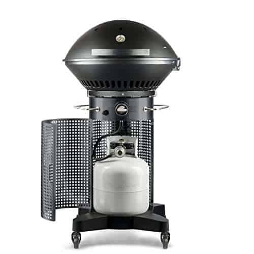 What Users Saying About the Fuego F24C Professional Propane Gas Grill What Users Saying About the Fuego F24C Professional Propane Gas Grill